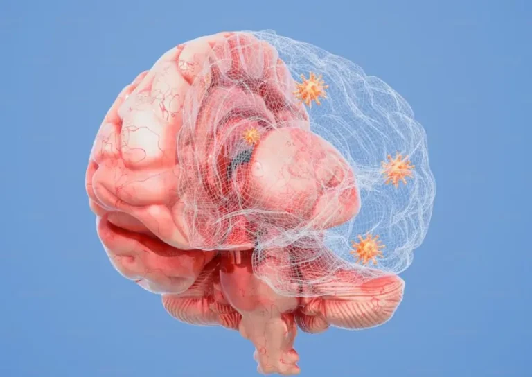 3D illustration of a human brain showing neural structures and internal anatomy on a blue background